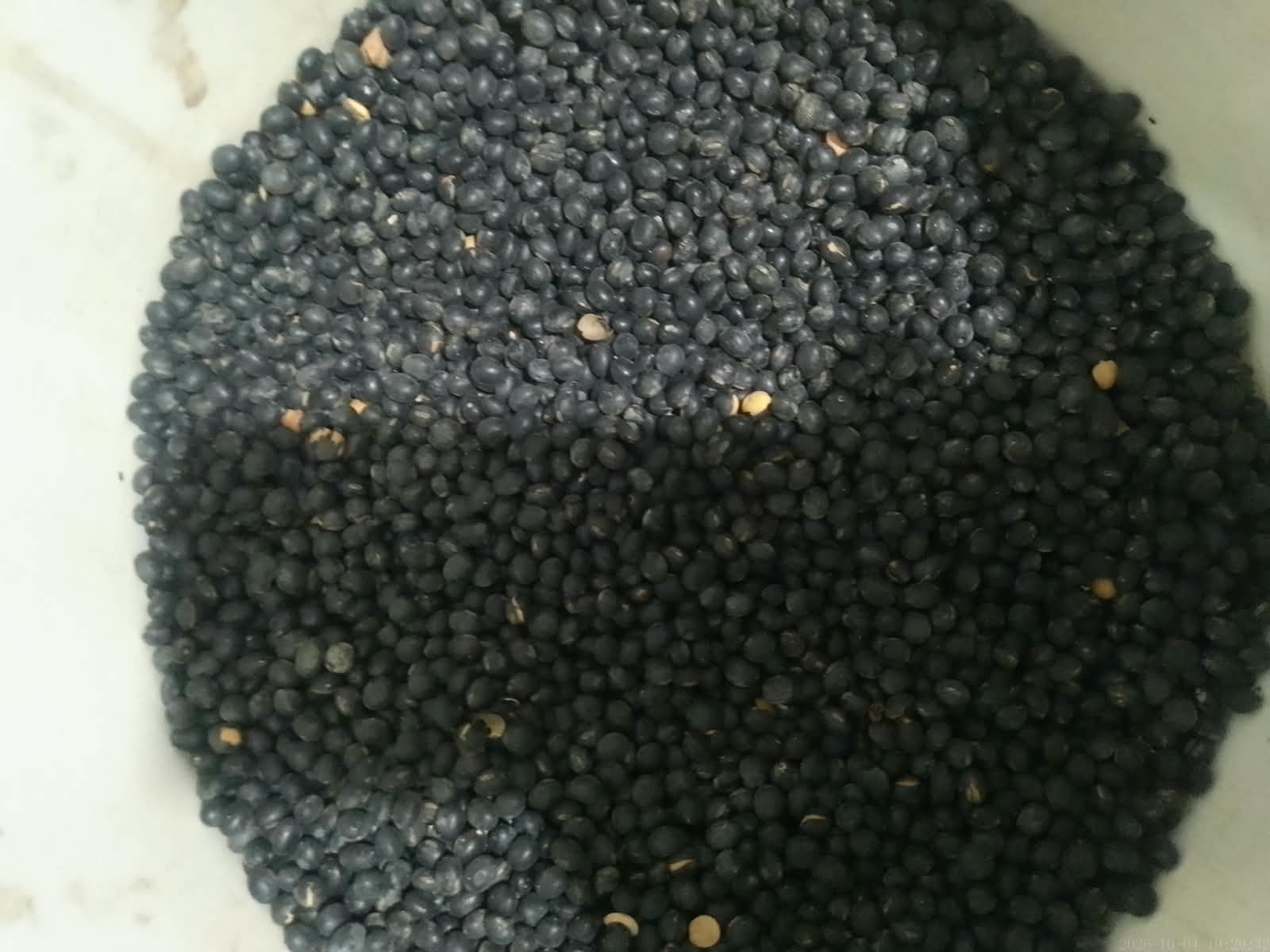 Black whole soybean (kalo bhatmas)
